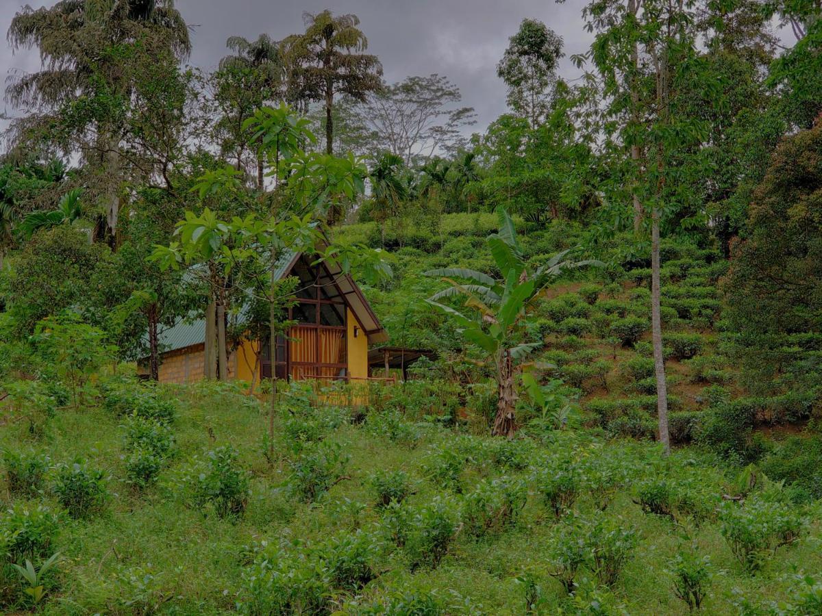 Rainforest Cabin Deniyaya Exterior photo