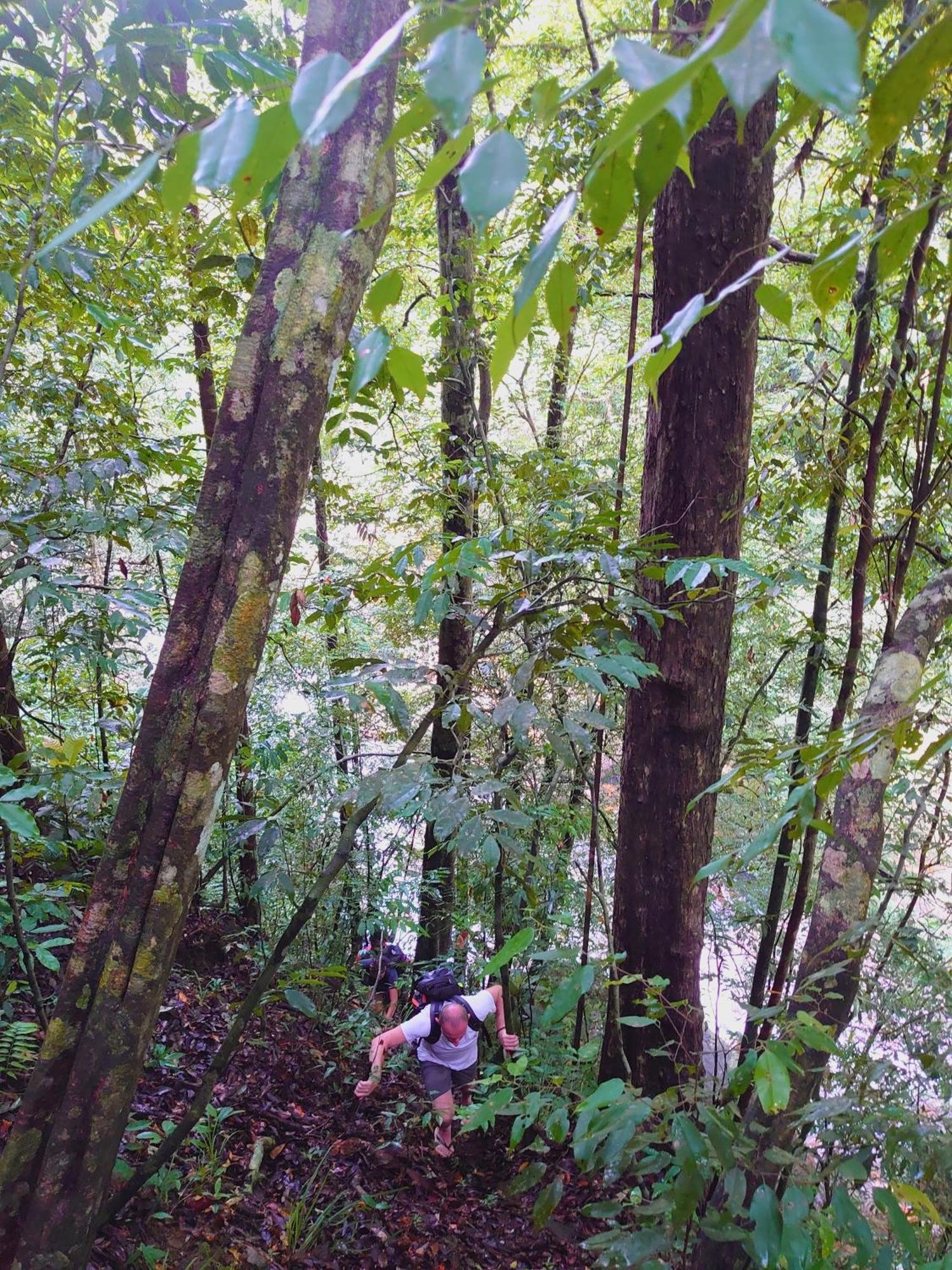 Rainforest Cabin Deniyaya Exterior photo