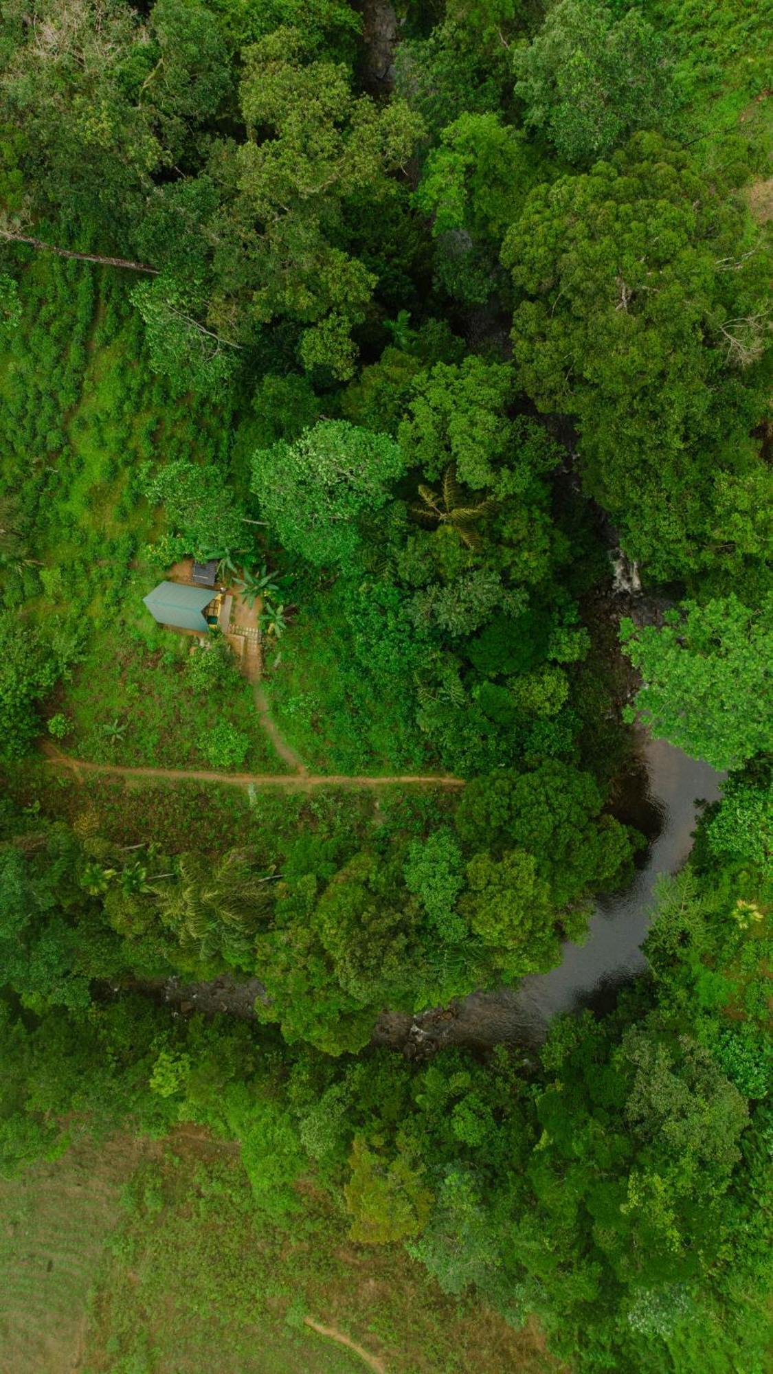 Rainforest Cabin Deniyaya Exterior photo