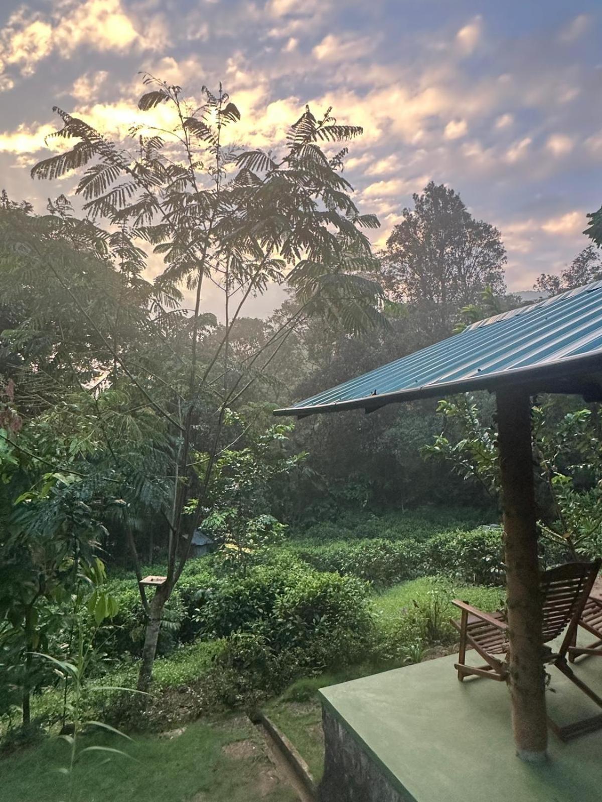 Rainforest Cabin Deniyaya Room photo